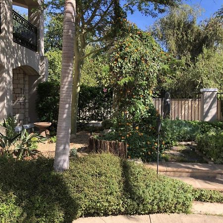 African Palm Cottage And Guesthouse Durbanville Exterior foto