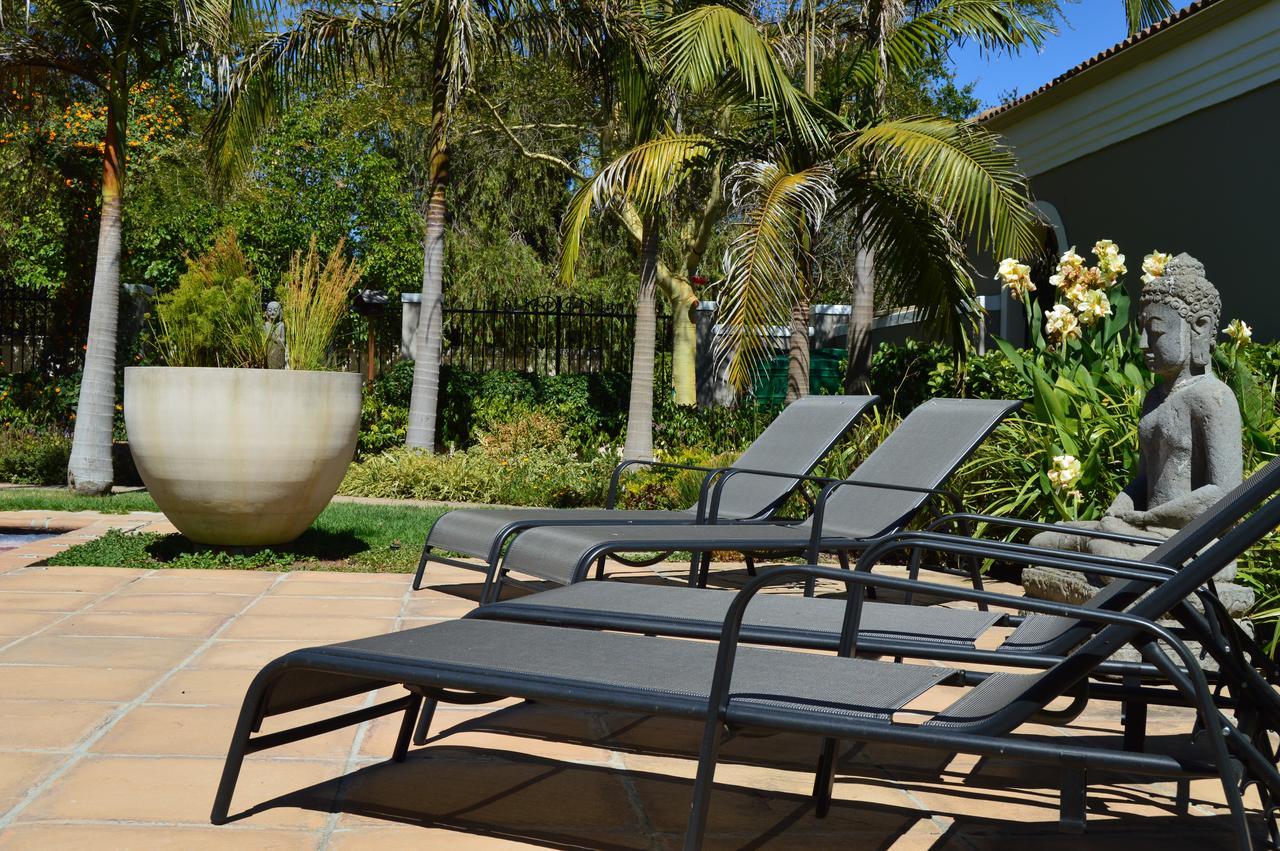 African Palm Cottage And Guesthouse Durbanville Exterior foto